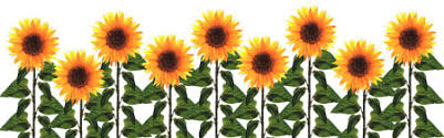 Image result for sunflower clip art