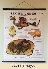Large Board Cabinet Of Curiosities 60 X 80 Cm Creatures Fantastic Deyrolle 4 Designs To Choose Deyrolle Creature Fantastique Creature Mythologique