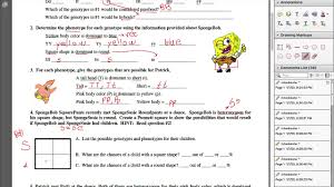 This is just one of the solutions for you to be successful. Bikini Bottom Genetics Lesson Youtube