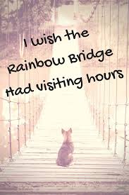 We at rainbow bridge take the death of a pet very seriously. I Wish The Rainbow Bridge Had Visiting Hours Pet Remembrance Pets Animal Quotes
