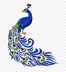 Drawing Peafowl Clip Art Image Vector Graphics Peacock Peacock Drawing Peacock Painting Peacock Art