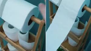 A science fiction book club to your collection. Savvy Shopper Reveals Her Toilet Roll Hack Using A 22 Bamboo Trolley From Kmart Daily Mail Online