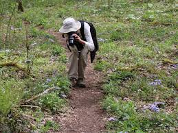 These milipedes smell like cherries when they you pick them up. Whiteoak Sink Group Hiking Permits Great Smoky Mountains National Park Recreation Gov