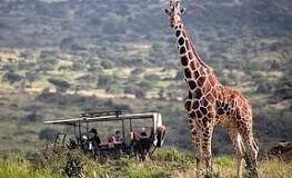 Masai Mara Room Rate & Safari Price Guide For Kenya Hotels ...