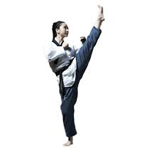 Dobok Taekwondo Protec Jcalicu Diamante Mujer 65 00 Https Soloartesmarciales Com Artesmarciales Taekwondo Karate Judo Ha Taekwondo Judo Hapkido