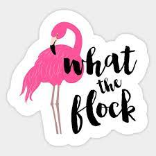 4.9 out of 5 stars 74. What The Flock Flamingo Flamingos Quote Flamingo Flamingo Art
