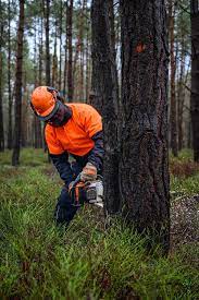 TIPPS – die Auswahl der richtigen Forstbekleidung – 5 Tipps wie du sicher  im Wald unterwegs bist | Lamm Seile | Lamm Seile