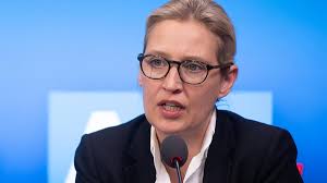 Februar 1979 in gütersloh) ist eine deutsche unternehmensberaterin und politikerin der rechtspopulistischen afd. Alice Weidel Politicians Should Seek Proximity To Lateral Thinkers Teller Report