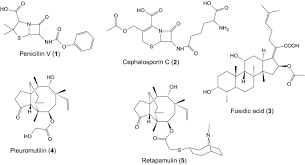 Penicillin, a vaccine that saves many lives, was discovered as a result of someone leaving a petri dish open overnight. The Amazing Potential Of Fungi 50 Ways We Can Exploit Fungi Industrially Springerlink