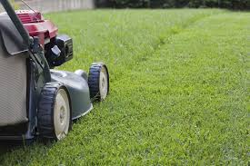 Grass cutting in gardening & landscaping services. Maxwells Grass Cutting Services Home Facebook