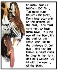 Survivor Eye Of The Tiger