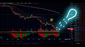 Prognoz Bitkoin Btc Eth Xrp Bake Icp Novosti Obzor Analiz Kursa Kriptovalyut 2021 Bitkoin Ripl Youtube