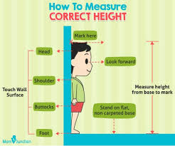 If your child is able to stand up, here is how you will get the most accurate weight when measuring height at home: Child Height Predictor Calculator How Tall Will My Child Be