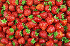 Świeże truskawki ogrodowe kupujemy hurtowo z plantacji owoców i jagód w rosji baszkirii soczyste i świeże truskawki prosto z ogrodu! Truskawki Malo Kalorii Wiele Witamin