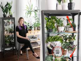 A diy greenhouses can extend your growing season, allow you to propagate plants from your yard, and let you grow tender or delicate plants you might not otherwise be able to grow. How To Turn An Ikea Fabrikor Cabinet Into A Greenhouse For Houseplants