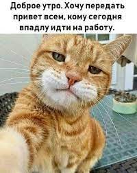 Чёткие анекдоты Для Взрослых смеемся от Души))))) — Фото | OK.RU | Веселые  картинки, Смешные детские картинки, Кошачьи принты