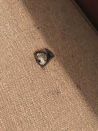 You can fix a burn hole in a leather couch by using glue, sewing it together, patching with vinyl sheet, cover it with glitter glue, applying fabric paint, and with a leather repair kit. How To Fix This Burn Hole On A Couch Cushion Howto