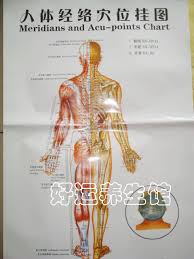 Us 6 42 17 Off Human Body Acupuncture Point Full Body In Massage Relaxation From Beauty Health On Aliexpress