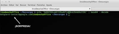 Descifrando Mensajes Ocultos De Google Otras Noticias Sobre Google Blog Seo