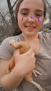 Our handsome Little Jerry Seinfeld! 🥰 He's very chivalrous with his  ladies!