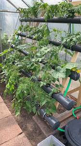 Have to give it up to up to @carpedimus. How Hydroponics Can Be Done Diy Guide To Your Nft System
