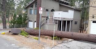 Customize your own price, browse photos and special offers. Wind Wreaks Havoc Chain Controls In Effect And More Snow Is Forecast For Tahoe Tahoedailytribune Com