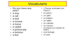 Please, try to prove me wrong i dare you. Trivia Spanish Vocabulary Quiz On Family Proprofs Quiz