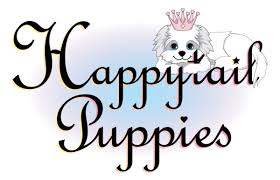 We provide high quality medical services to ensure your pets live a happy and healthy life. Puppies For Sale Happytail Puppies Home