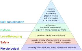 maslows hierarchy of human needs finkelstein 2006