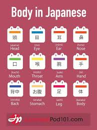 Pin By La Up On How To Learn Japanese Japanese Language Learn Japanese Japanese Language Learning
