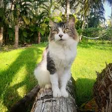 Cel mai mult castiga un profesor de drept, respectiv $134.146. Adelle Home Facebook