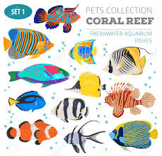 Freshwater Aquarium Fish Breeds Icon Set Flat Style Isolated