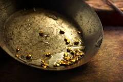 Image result for panning for gold uk
