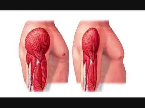 TONO MUSCULAR | Flowchart