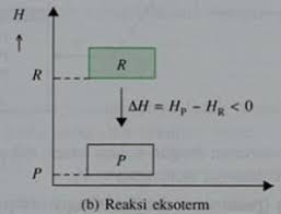 Pokok pikiran kemanusian yang adil dan beradab mengandung pengertian. Reaksi Eksoterm Pengertian Teori Perbedaan Dan Contoh