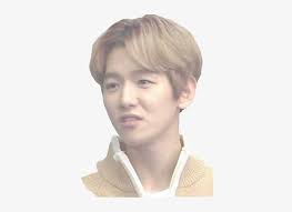 Photo © oxford scientific / getty images think memes are inspired by the mysterious workings of the human mind. Report Abuse Kpop Meme Faces Transparent Transparent Png 376x527 Free Download On Nicepng
