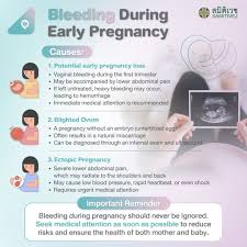 Image result for First Trimester Bleeding
