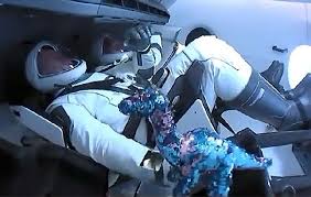 Tak hanya dino merah adapun dino berwarna lain seperti dino hijau. Dino Tremor Penumpang Gelap Misi Peluncuran Astronot Spacex Tekno Tempo Co