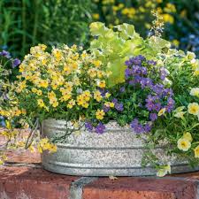 Naturliche Blutenpracht Sommerblumen Fur Den Landhausgarten In 2020 Sommerblumen Garten Pflanzen