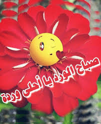 صباح الورد يا أحلى وردة christmas ornaments holiday decor novelty christmas