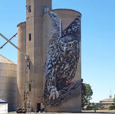 Dvate For Walltowallfestival2018 In Goorambat Victoria Australia 2018 Murals Street Art Wall Street Art Barn Art