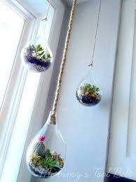 Diy Hanging Globe And Geo Terrariums Diy Succulent Terrarium Hanging Terrarium Terrarium Diy