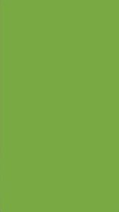 Bright green spiral rays background. Plain Green Wallpapers Wallpaper Cave