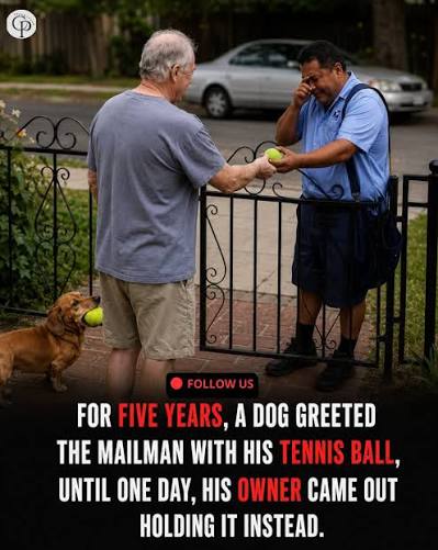 🐶 FOR FIVE YEARS, A LITTLE DOG WAITED FOR HIS BEST FRIEND… UNTIL ONE  MORNING, THE TENNIS BALL CAME ALONE. 💔 Every day for five years, a tiny  dachshund waited at the