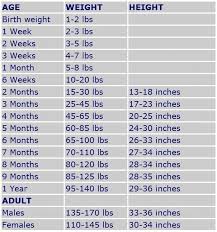 Great Dane Growth Chart Great Dane Puppy Great Dane