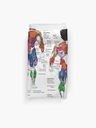 Exercise Muscle Chart Anatomy Diagram Duvet Cover