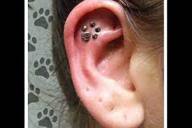 Pin By Hannah Newell On Piercing And Tattoos Cute Ear Piercings Earings Piercings Piercing