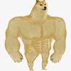 Doge price is up 2.3% in the last 24 hours. 1