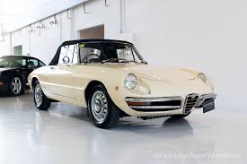 Image result for Avorio 1981 Alfa-Romeo