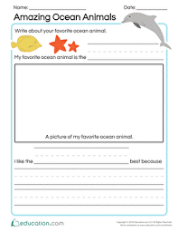 amazing ocean animals worksheet education com